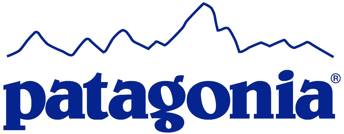 The Patagonia logo, the Fitz Roy skyline drawn above the wordmark
